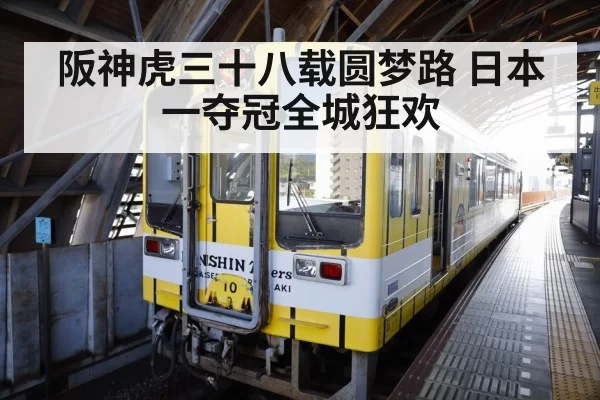 阪神虎三十八载圆梦路 日本一夺冠全城狂欢